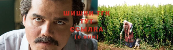 гашик Инсар