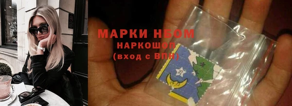 гашик Инсар