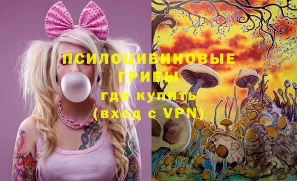гашик Инсар