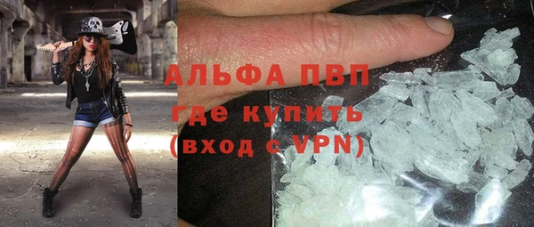 гашик Инсар
