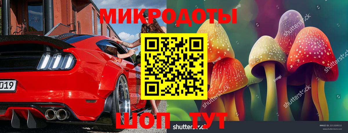 Псилоцибиновые грибы Psilocybine cubensis Барнаул