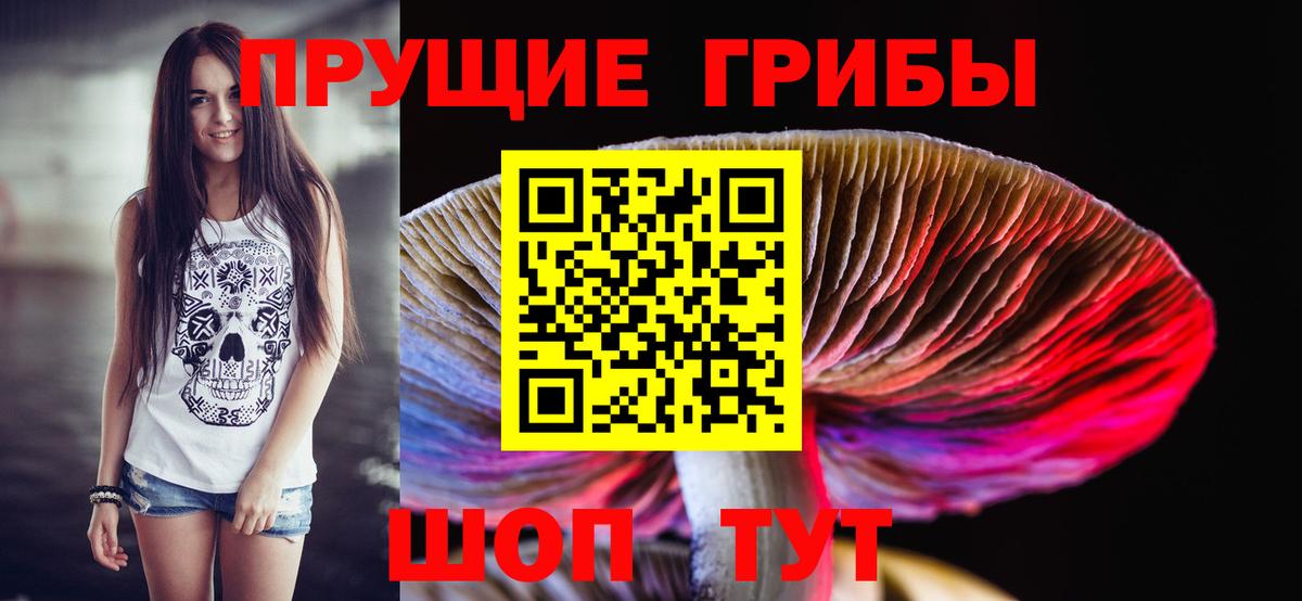 Псилоцибиновые грибы мицелий  Вход с VPN  как найти   Барнаул 