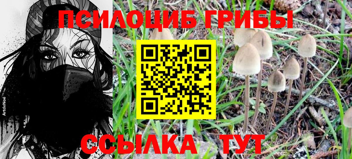 Галлюциногенные грибы мухоморы  Барнаул 